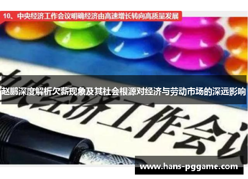 赵鹏深度解析欠薪现象及其社会根源对经济与劳动市场的深远影响